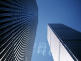 The World Trade Center  New York