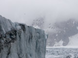 Seagulls Flying over Snow Covered Mountain  Norway  Svalbard Islands  Spitsbergen