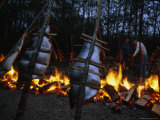 Salmon Bake Around a Bonfire at Depoe Bay  Oregon
