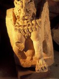 Petra Museum