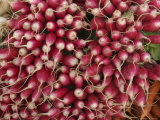 Sunday Market Radishes Being Sold  Paris  France
