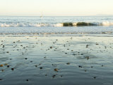 Pebbles in Wet Sand with Small Waves and Sail Boat in the Background  California