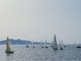 Sailboats Participate in a Regatta on the Great Salt Lake  Utah