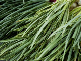 Leeks at an Outdoor Market in New York City