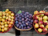 Three Baskets of Colorful Fruit at a Market in Siena  Tuscany  Italy