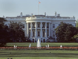 The White House  Washington  DC