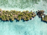 Small Islands Just West of Zanzibar in the Zanzibar Channel  Tanzania