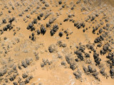 Sandstone Peeking Through the Orange Sand on the Djado Plateau  Niger