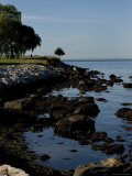 Tranquil Shoreline of Long Island Sound  Groton  Connecticut