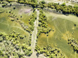 There is Reclaimed Mangroves Amidst Large Scale Sea Salt Production  Tanzania