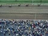 Spectators Watching a Horse Race