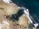 The Coast of Kenya