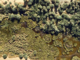 This Lush Wadi Helps Support the Population Living in Djado  Niger
