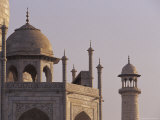The Taj Mahal Marble Domes with Pietra Dura Inlay and Minaret at Dawn  Agra  India