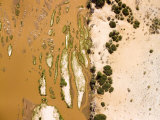 The Tana River is Full of Silt  But Flowing Well  Kenya