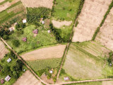 Small Farm Plots in the Fertile Rift Valley  Kenya