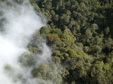 The Beautiful Forests of the Rwenzori Mountains  Mountains of the Moon  Uganda
