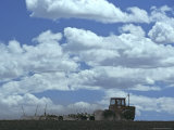 Sowing a Wheat Field  Washington