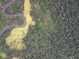 The Bili River is Impressive  But Just South is Massive Uele River  Democratic Republic of Congo