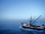 Shrimp Boat in the Gulf of Mexico