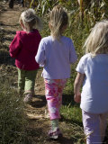 Siblings Walk Through a Corn Maze
