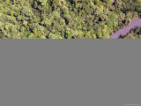 The Gangu River Runs Through a Hunting Reserve Here  Democratic Republic of Congo