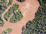 The Turbid Ituri River Channels It's Way Through the Ituri Forest