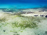 The Crystal Blue Water and Shallow Reefs of the Pemba Channel