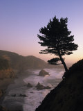 Scenic View of the Oregon Coast at Twilight
