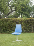 Single Blue Chair Sitting in Yard  California