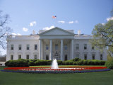 The White House in Washington  DC
