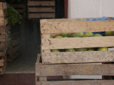 Wood Crate of Fruit  San Cristobal de Las Casas  Mexico