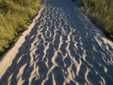 Sand Path Through the Dunes  Block Island  Rhode Island