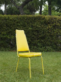 Single Yellow Chair Sitting in Yard  Santa Barbara  California