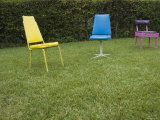 Three Chairs Sitting on Lawn  California