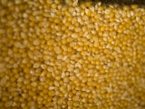 Unpopped Corn Kernals  Bartlesville  Oklahoma