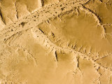 Wadis and 4X4 Tracks Are Numerous  Boujdour Region of Western Sahara  Morocco