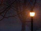 Snow Storm at Night  Chevy Chase  Maryland