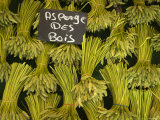 Wild Aspargus for Sale in Market  Paris  France
