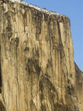 Winter Light on el Capitan Face in Yosemite National Park  California