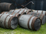 Wooden Barrels on the Ground  Mystic  Connecticut