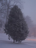 Snow Storm at Dusk  Chevy Chase  Maryland