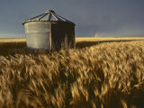 Wheat Field with Stormy Sky Above  Kansas