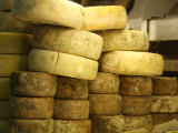 Wheels of Parmesan Cheese on Display  Florence  Italy