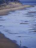 Women Walking on Sands Beach at Low Tide  Coal Oil Point  California