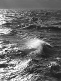 Storm Waves  South Ocean  Drakes Passage  Antarctica