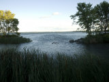 Scenic View Along the Shores of Leech Lake in Minnesota