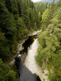 View into Capilano Canyon from the Suspension Bridge