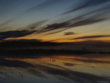 Small Lake in the Middle of a Bog in the Early Dawn Light