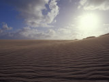 Wind-Blown Sand Patterns Crest a Sand Dune against a Glaring Sun  Coorong National Park  Australia